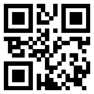 Il Qr Code di 3919160210