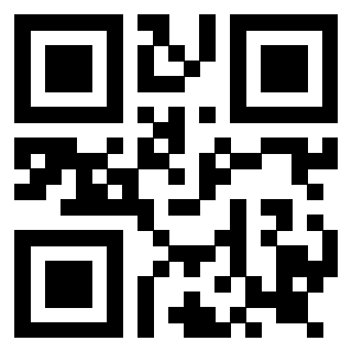 Il Qr Code di 3919160215