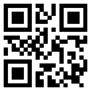 Il Qr Code di 3919160236
