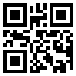 Il Qr Code di 3919160238