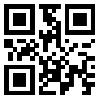 Il Qr Code di 3919160239
