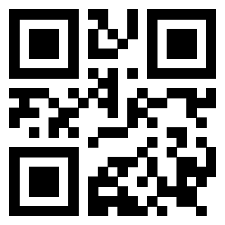 Il Qr Code di 3919160241