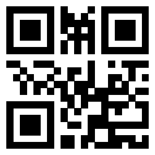 Il Qr Code di 3919160265