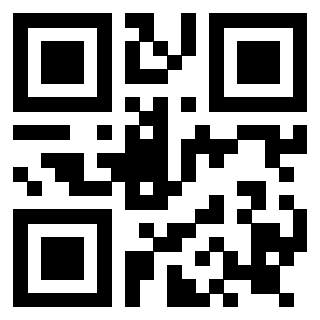 Il Qr Code di 3919160284