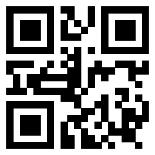 Il Qr Code di 3919160285