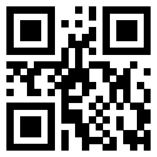 Il Qr Code di 3919160290