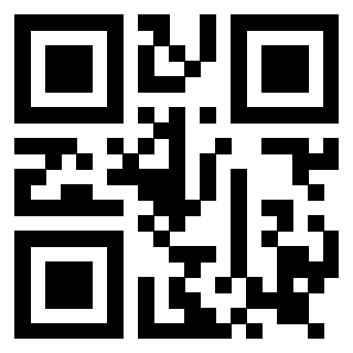 Il Qr Code di 3919160307