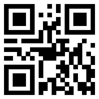 3919160323 QrCode associato