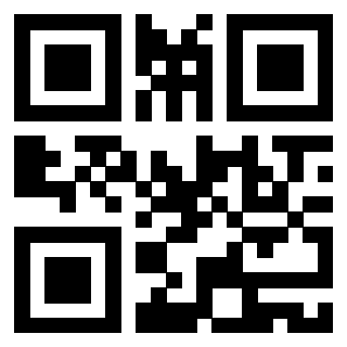 Il Qr Code di 3919160329