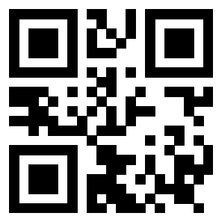 Il Qr Code di 3919160333