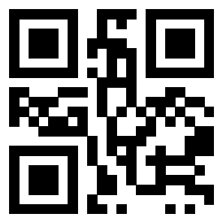 3919160358 QrCode associato