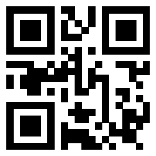 Il Qr Code di 3919160387
