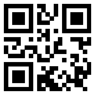Il Qr Code di 3919160402