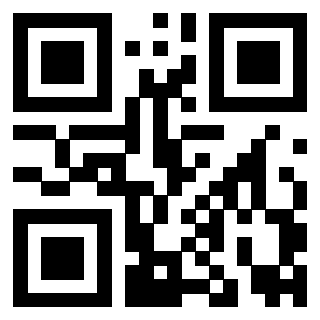 Il Qr Code di 3919160461