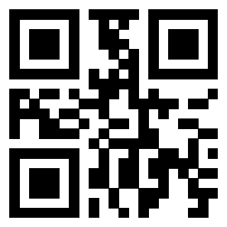 Il Qr Code di 3919160462