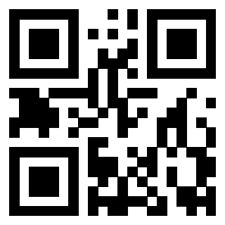 Il Qr Code di 3919160479