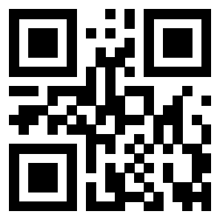 Il Qr Code di 3919160500