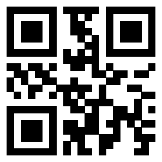 Il Qr Code di 3919160523