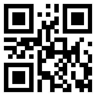 3919160531 QrCode associato