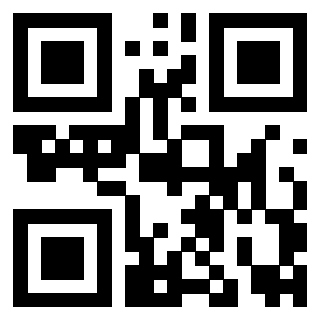 3919160533 QrCode associato