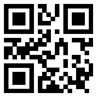 Il Qr Code di 3919160556
