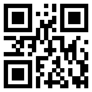 Il Qr Code di 3919160566