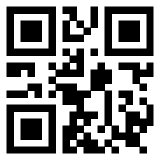 Il Qr Code di 3919160587