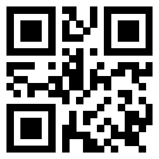 3919160600 - Immagine del QrCode associato