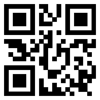 3919160610 QrCode associato