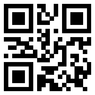 Il Qr Code di 3919160614