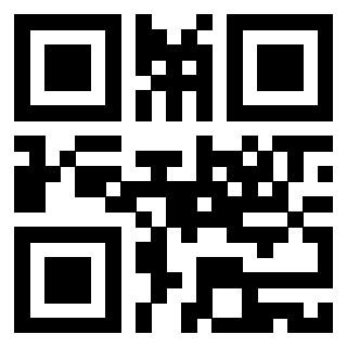 Il Qr Code di 3919160644
