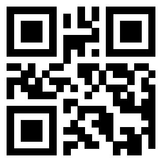 3919160653 QrCode associato