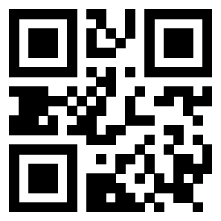 3919160661 Qr Code associato
