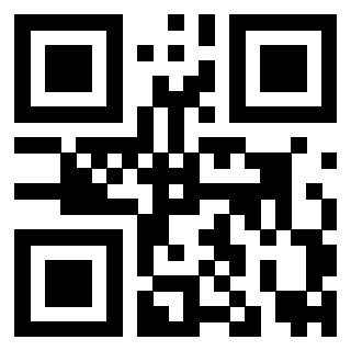 3919160667 QrCode associato