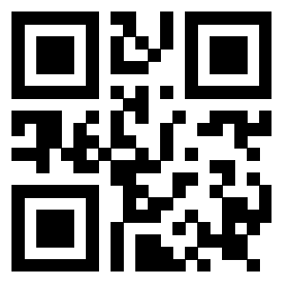 Il Qr Code di 3919160688