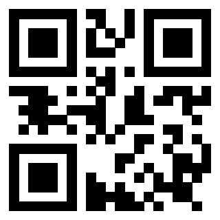 Il Qr Code di 3919160718