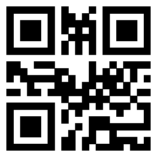 Il Qr Code di 3919160722