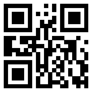 Il Qr Code di 3919160741