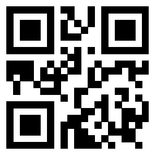 Il Qr Code di 3919160755