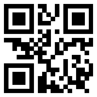 3919160757 Qr Code associato