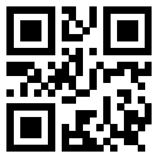 3919160777 Qr Code associato