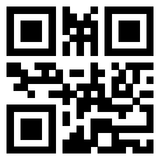 Il Qr Code di 3919160786