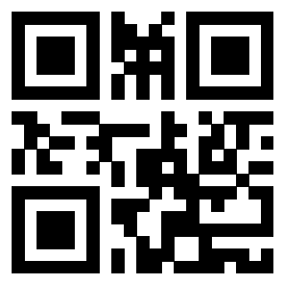 Il Qr Code di 3919160787