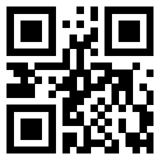 3919160810 QrCode associato
