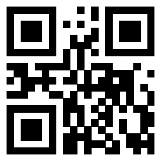 Il Qr Code di 3919160841