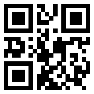 Immagine del Qr Code di 3919160851