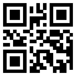 Il Qr Code di 3919160883