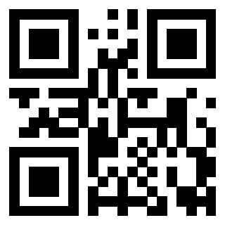 Il Qr Code di 3919160900