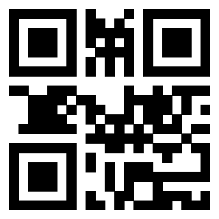 Il Qr Code di 3919160902