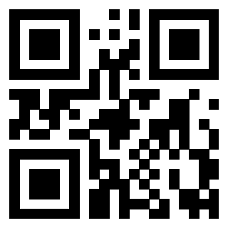 Il Qr Code di 3919160910